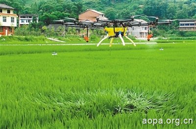 “‘迷你’直升机”喷药　12亩地只需7分钟