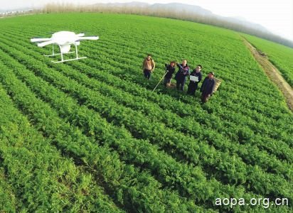 南充市首次将无人机用于农业灾情勘察